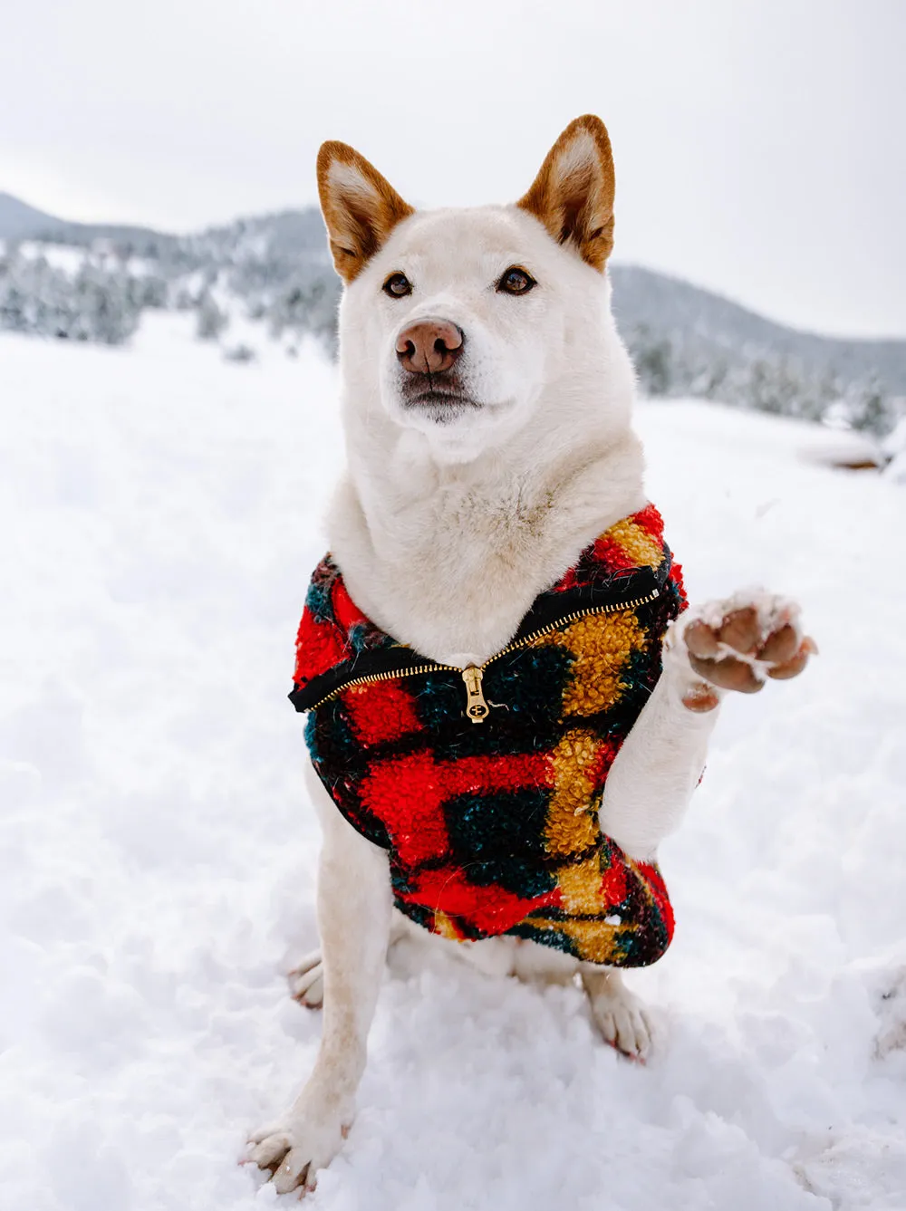 Alpine Sherpa Vest